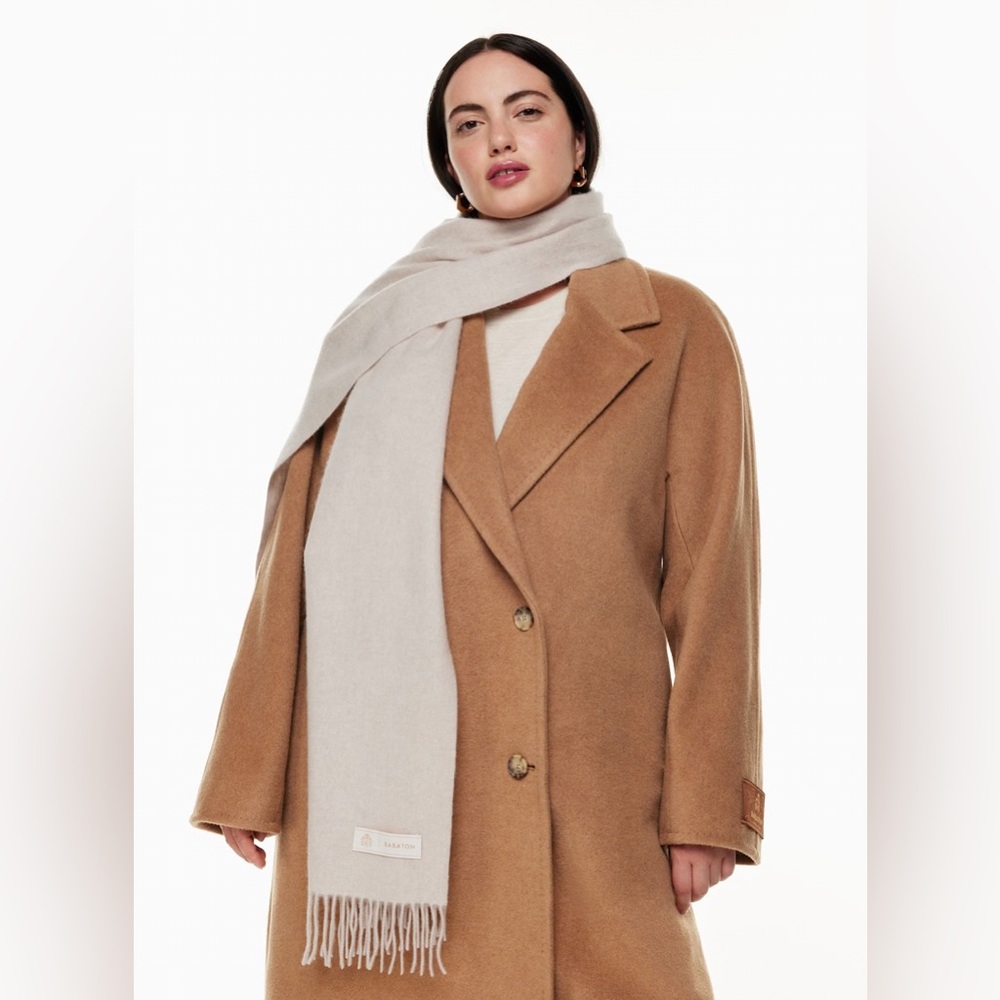 Aritzia Babaton 100% Cashmere Rectangle With Twisted Fringe Edges Scarf - Picture 1 of 6